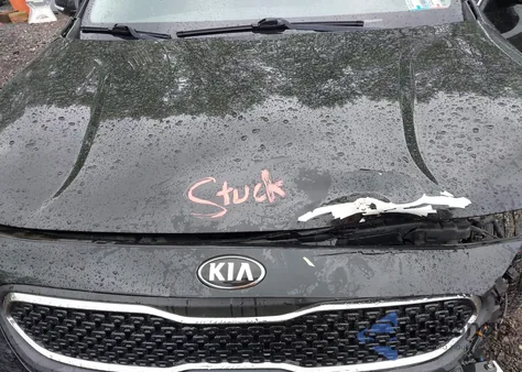 2017 Kia Niro Ex z USA, uszkodzony, nr VIN KNDCC3LC2H5066656